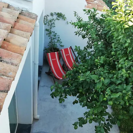Il Nido Di Ale